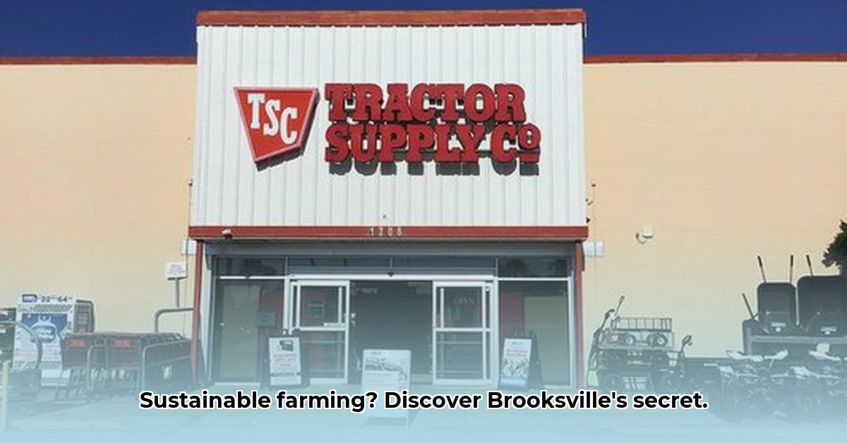 tractor-supply-in-brooksville